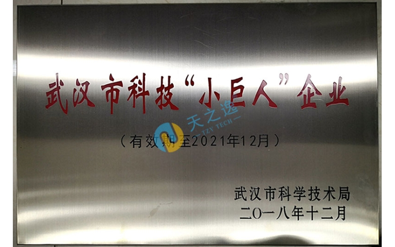 武汉市科技“小巨人”企业