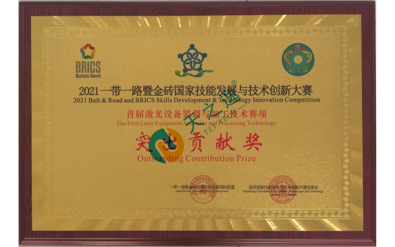 一带一路暨金砖国家技能发展与技术创新大赛突出贡献奖